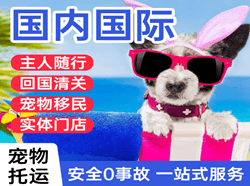信阳明港航空邮寄国际宠物托运 【国